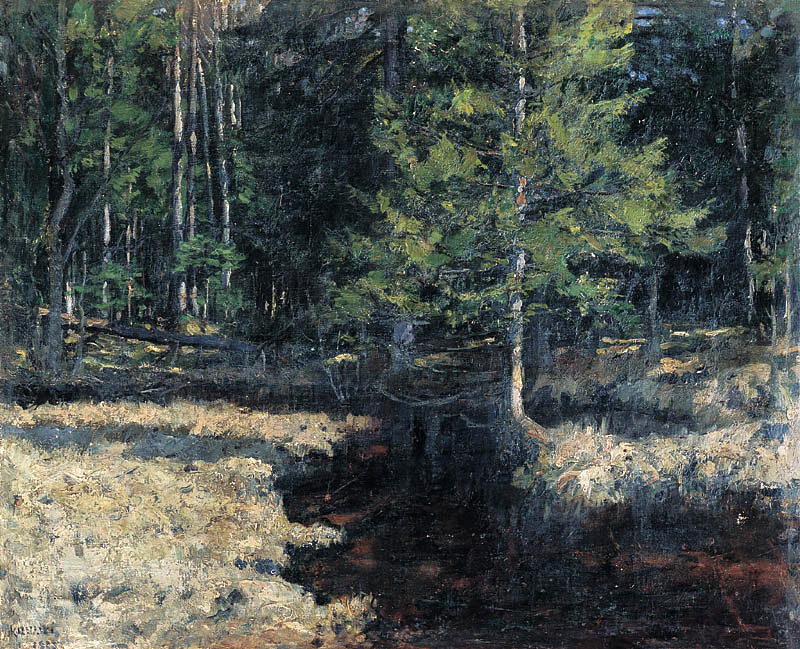 forest interior